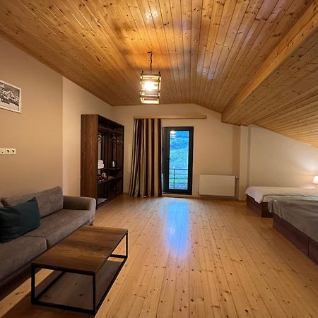 Hotel Axien Kazbegi 外观 照片
